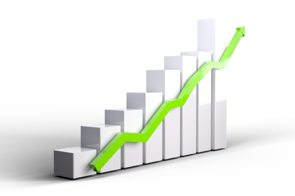 Consultante SEO et GEO à Mons